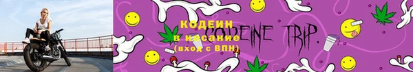 стаф Абаза