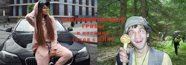 spice Алексин