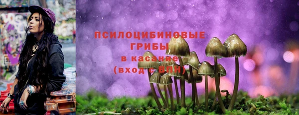 амф Алексеевка