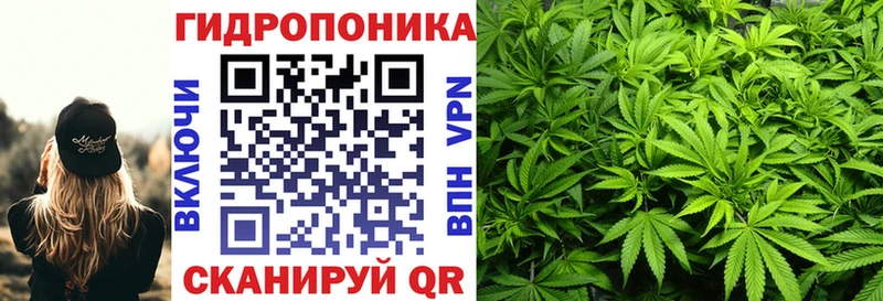 Каннабис SATIVA & INDICA  закладки  Барыш 